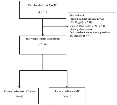 Intra-Arterial Thrombolysis Vs. Mechanical Thrombectomy in Acute Minor Ischemic Stroke Due to Large Vessel Occlusion